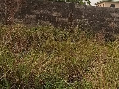 Two plots of Land for sales