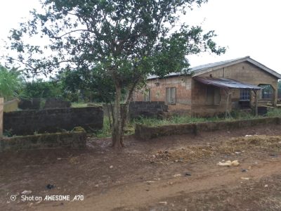 One full plot of land for sale